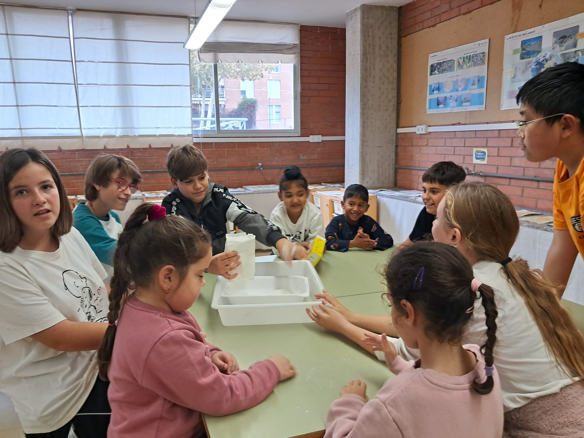 WhatsApp Image 2026-01-10 at 21.16.22