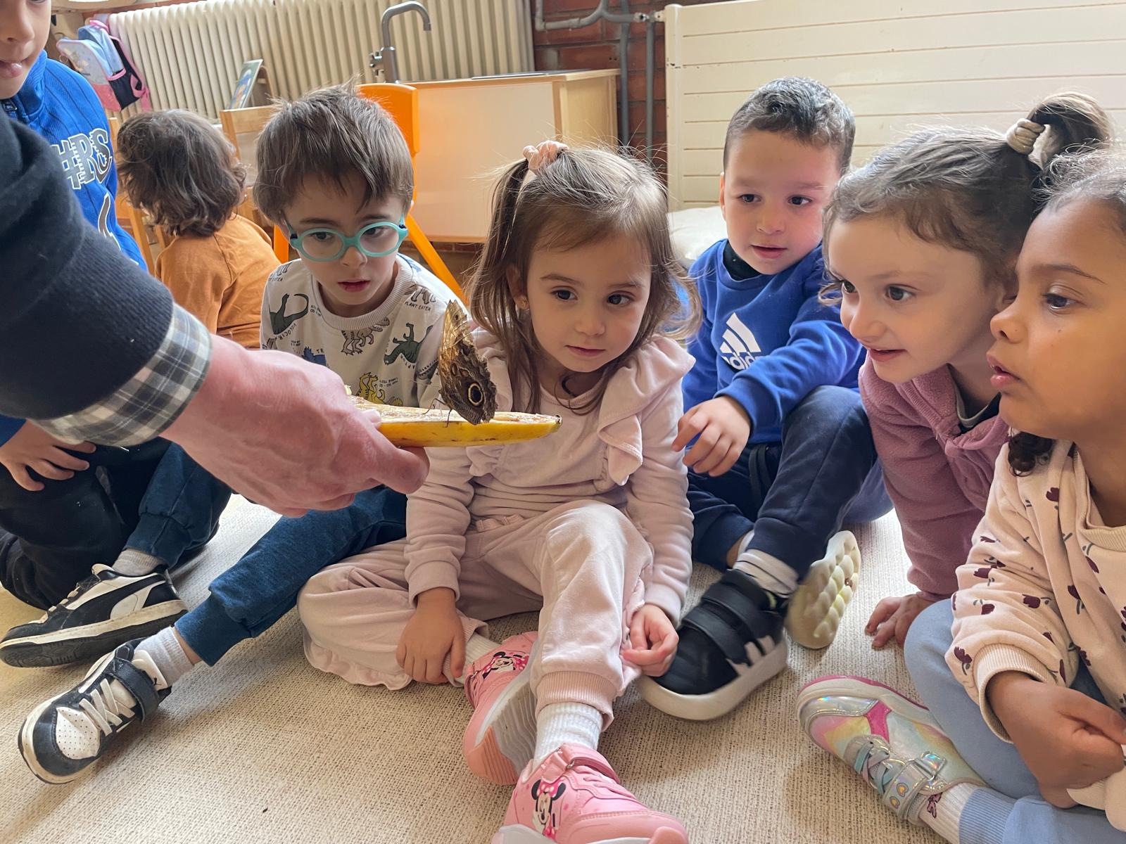 WhatsApp Image 2026-02-05 at 14.52.51 (2)