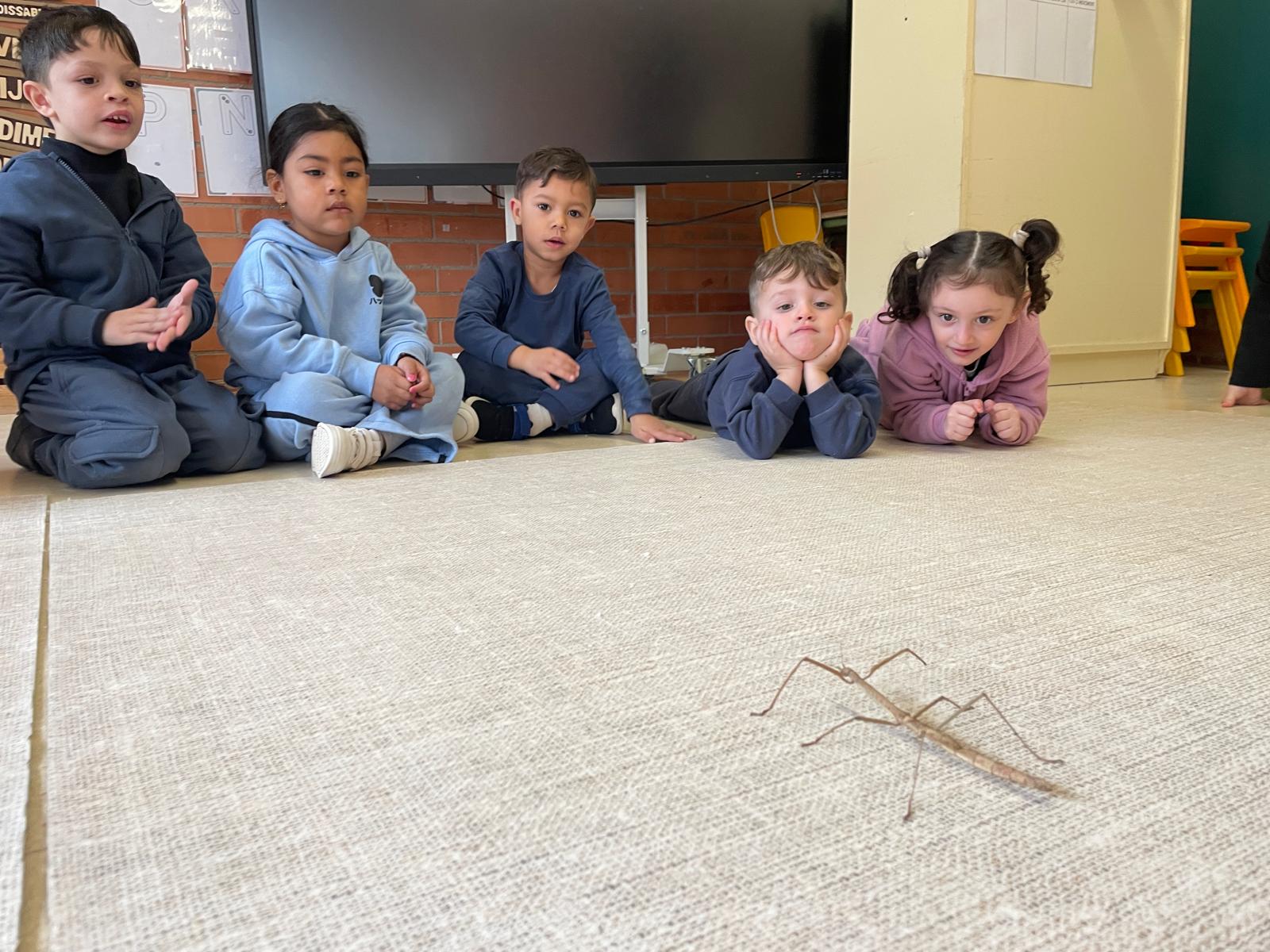 WhatsApp Image 2026-02-05 at 14.52.51 (3)