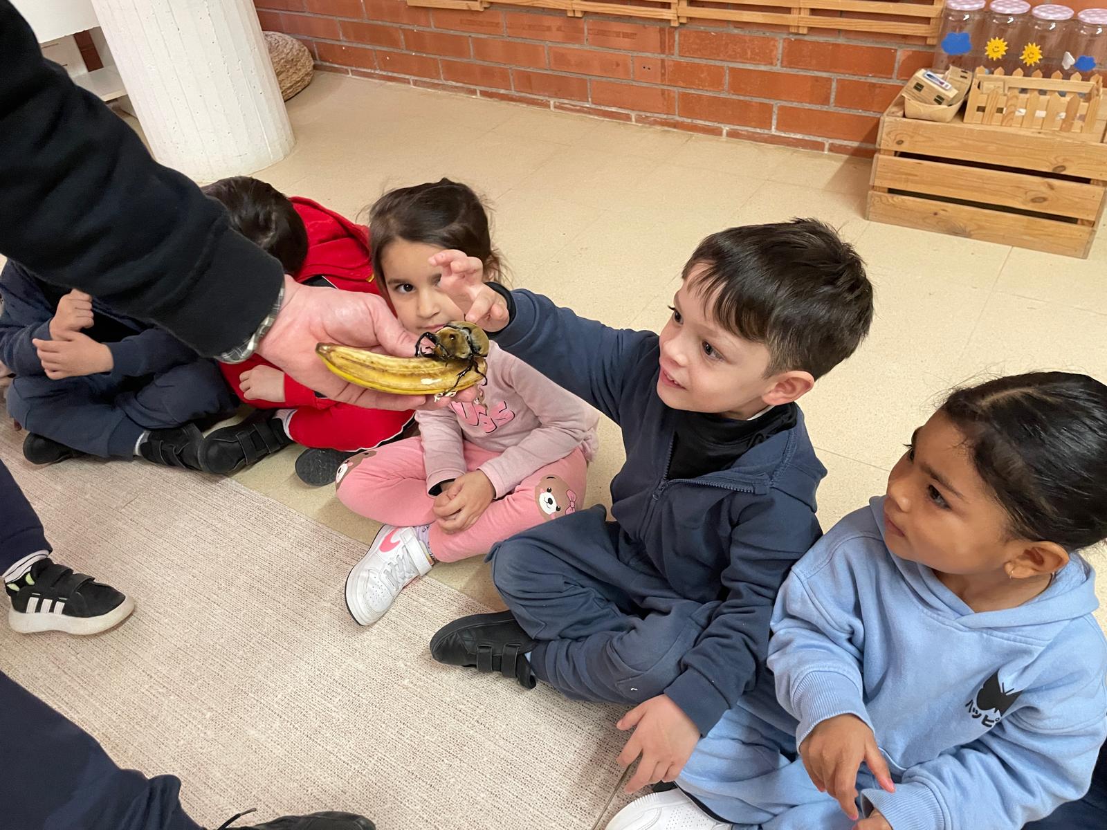 WhatsApp Image 2026-02-05 at 14.52.51 (4)