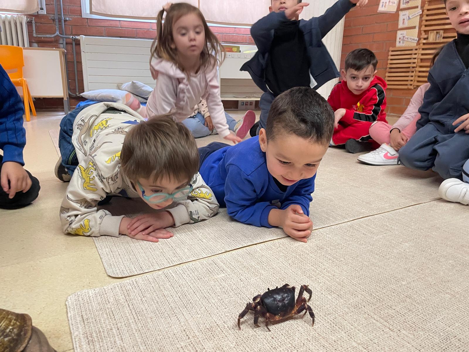 WhatsApp Image 2026-02-05 at 14.52.51 (5)