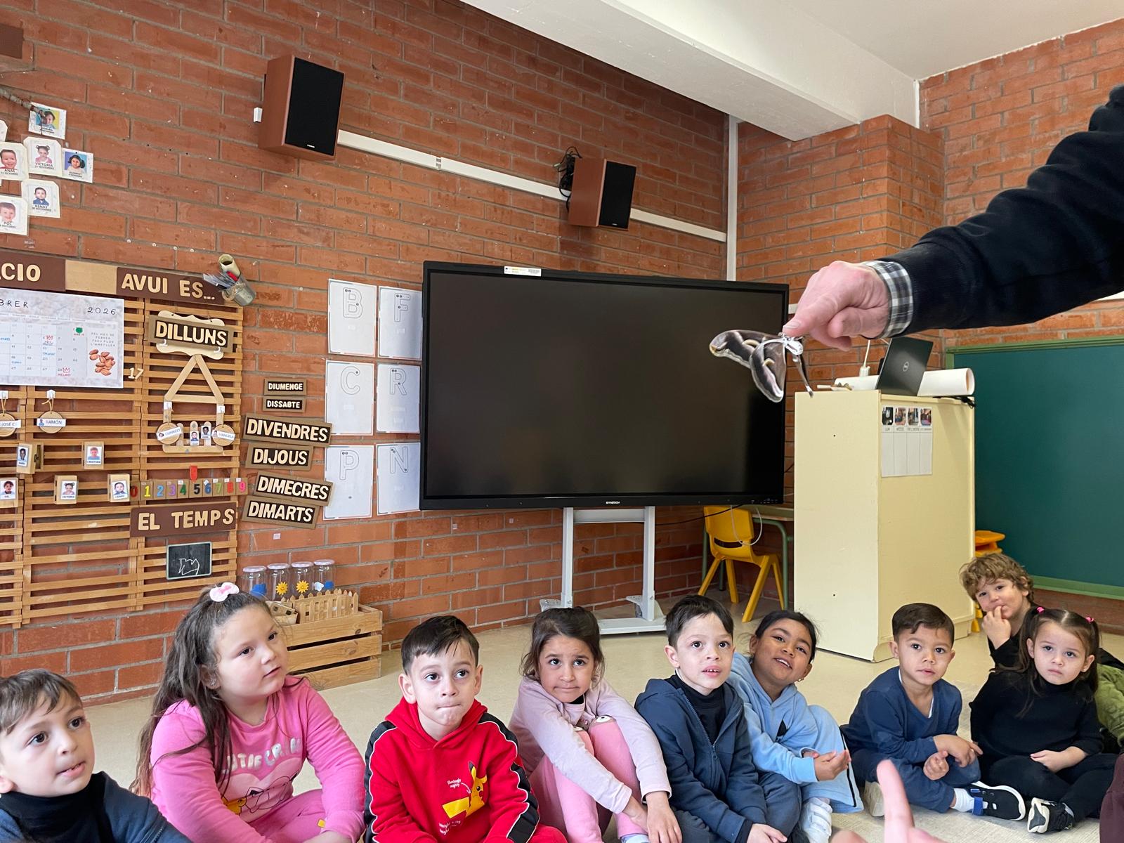 WhatsApp Image 2026-02-05 at 14.52.51