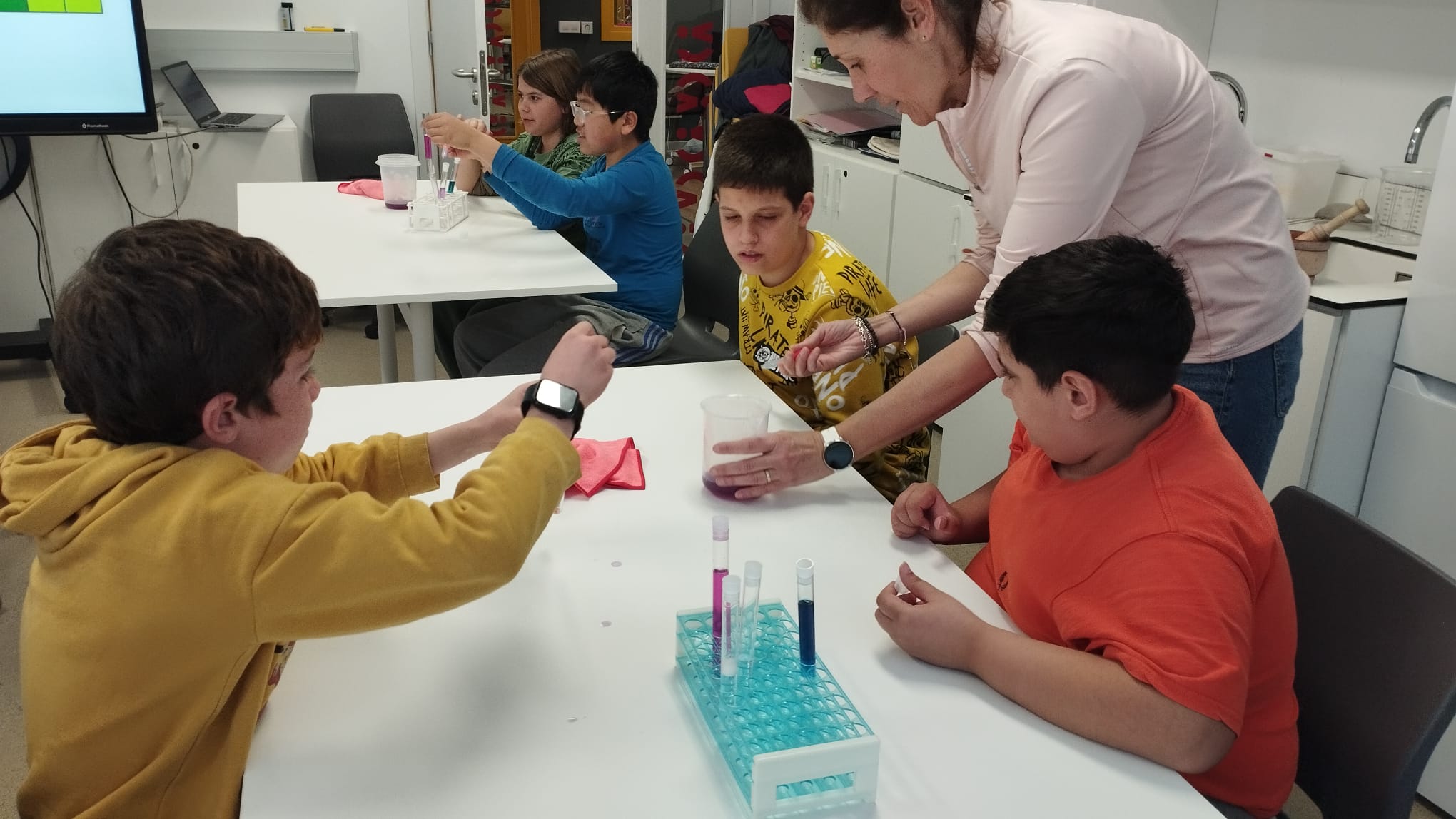 WhatsApp Image 2026-02-24 at 13.43.51