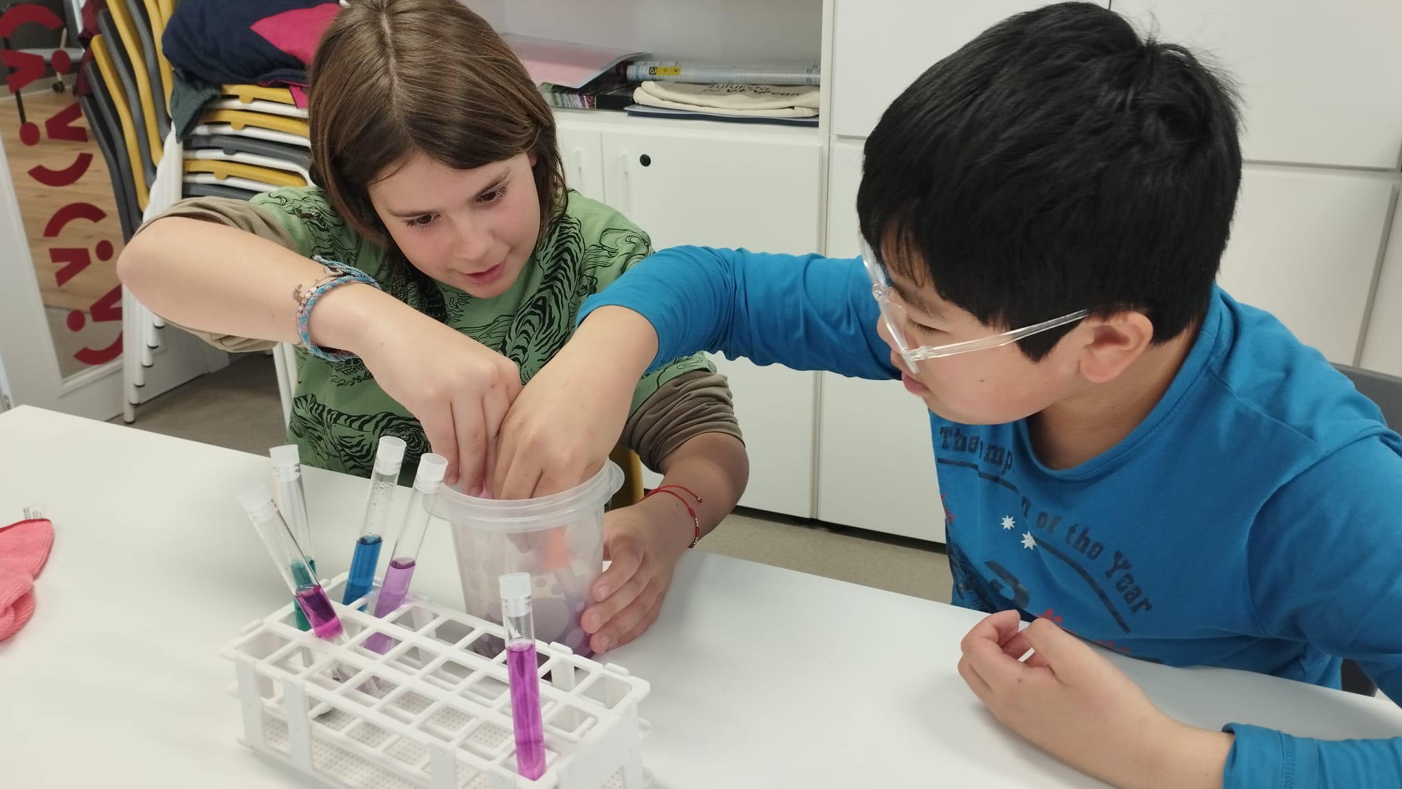 WhatsApp Image 2026-02-24 at 13.43.54