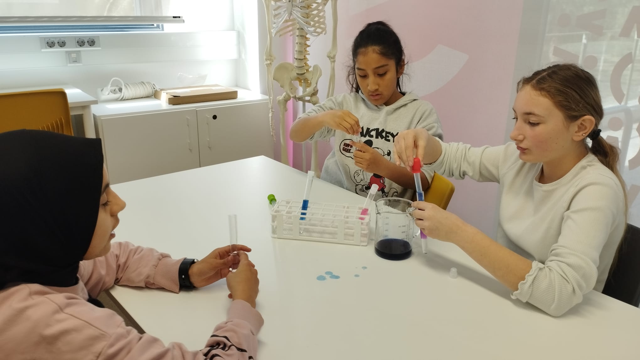 WhatsApp Image 2026-02-24 at 13.43.55