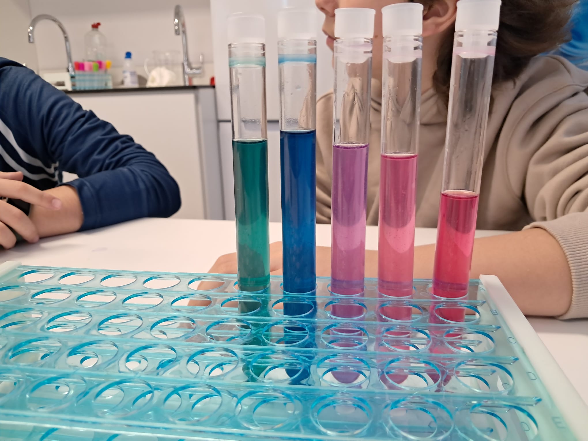 WhatsApp Image 2026-02-24 at 13.44.01