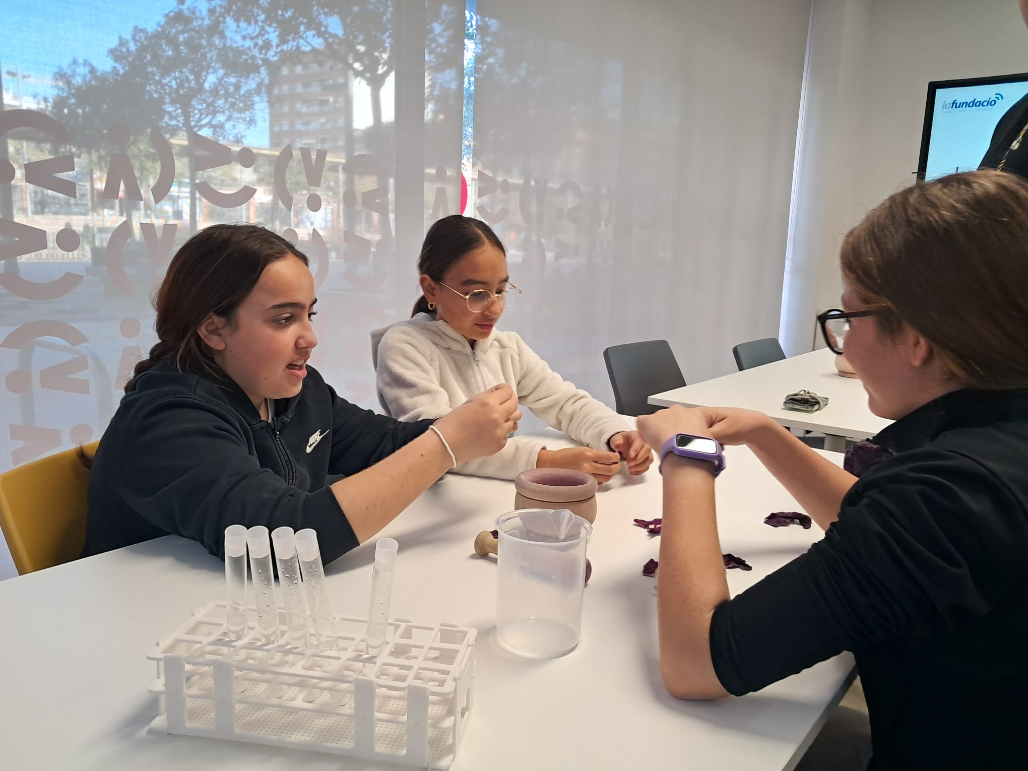 WhatsApp Image 2026-02-24 at 13.44.06 (2)