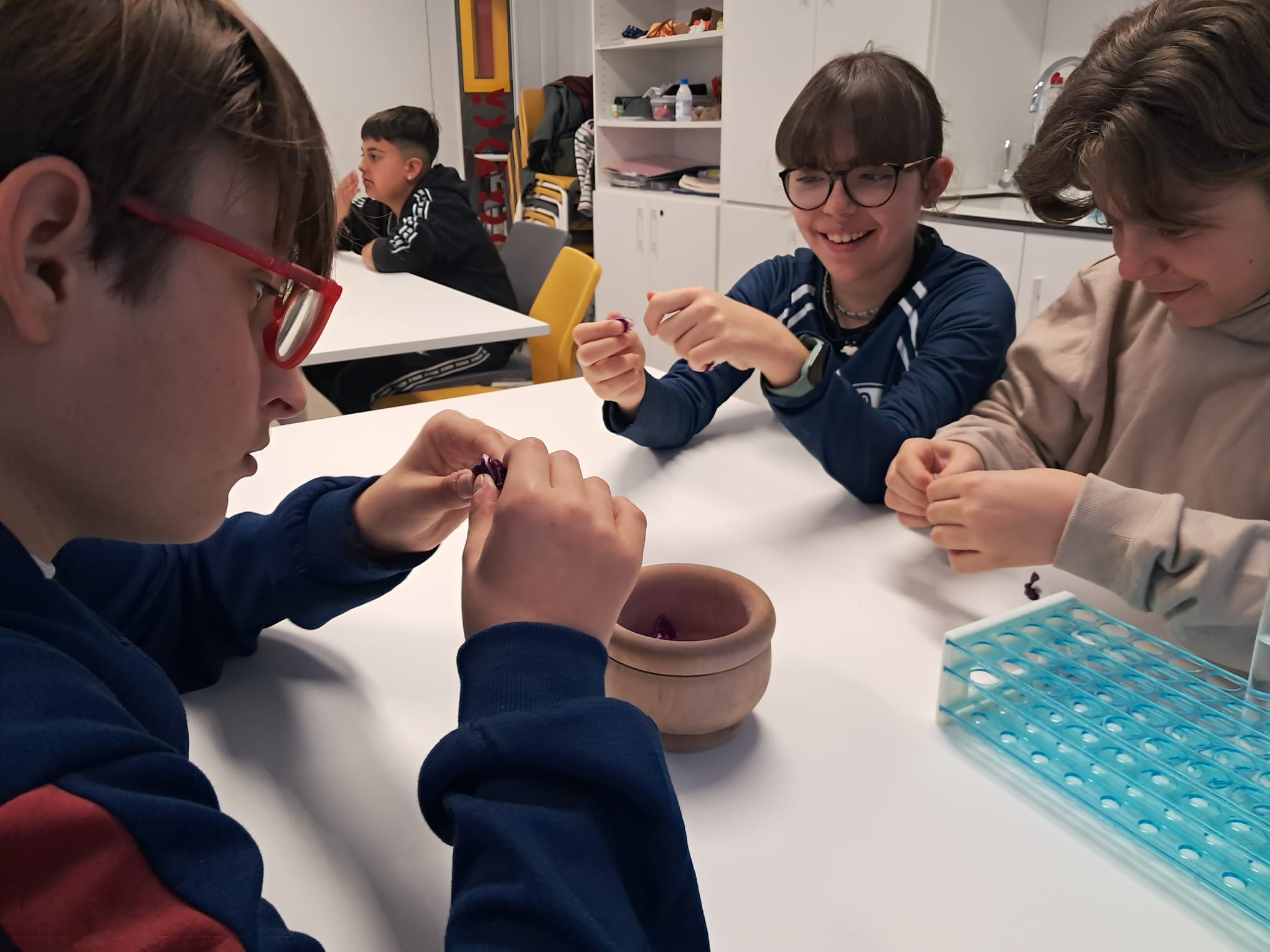 WhatsApp Image 2026-02-24 at 13.44.07