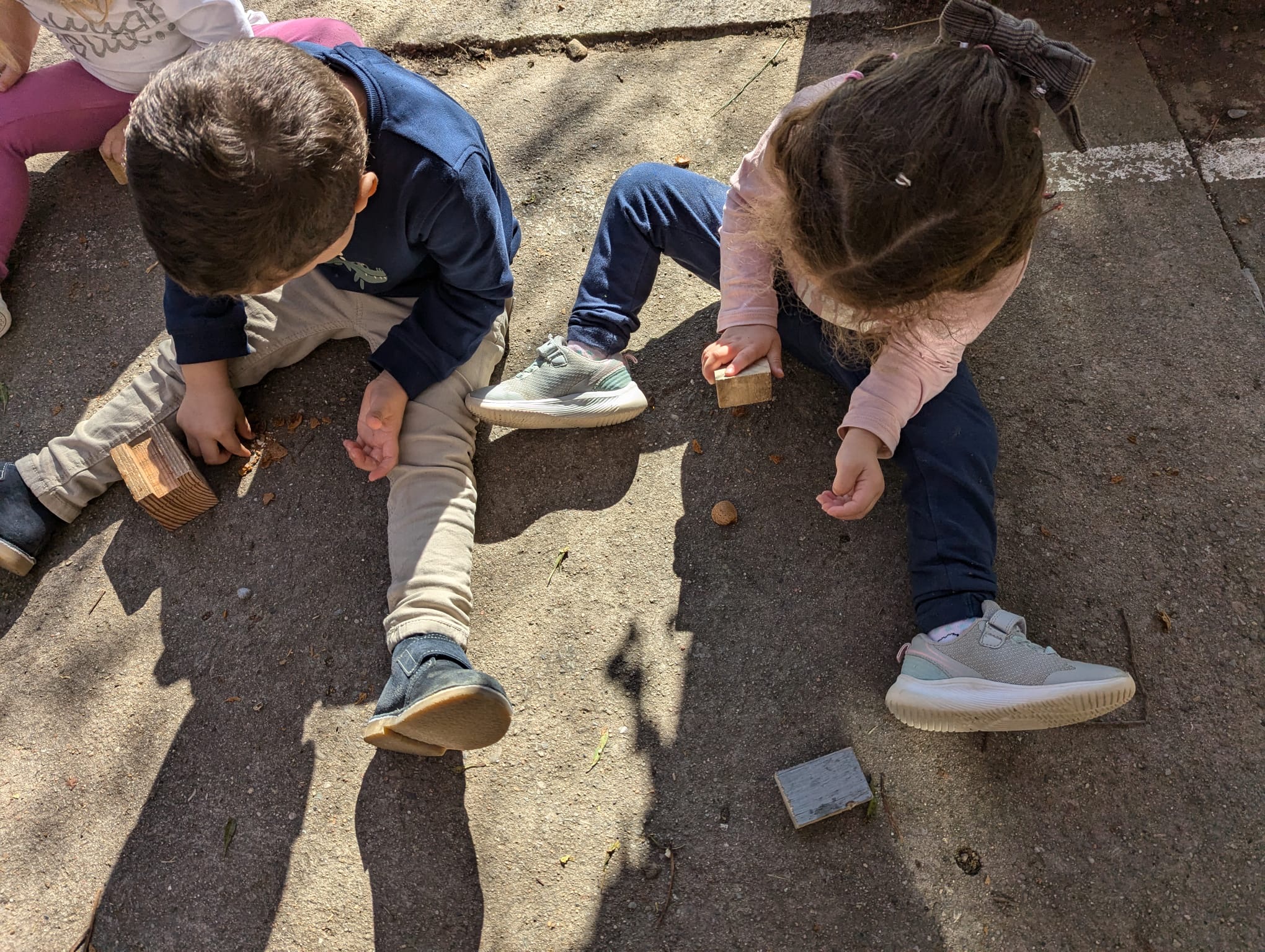 1d02e034-5e62-4c79-a199-a92001ffcfda