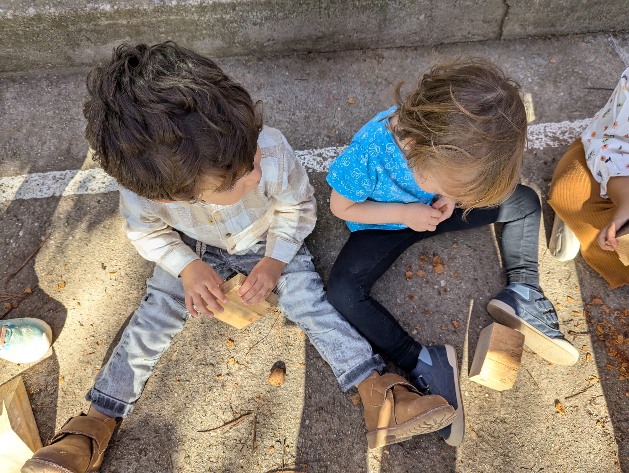 ae2d7185-4365-4001-9e35-adcda2e7642d