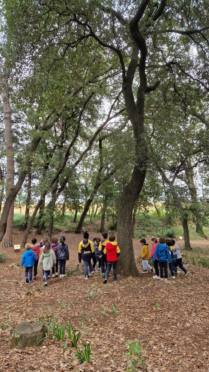 13740e10-79e1-4f4d-a901-6de559b9cb53