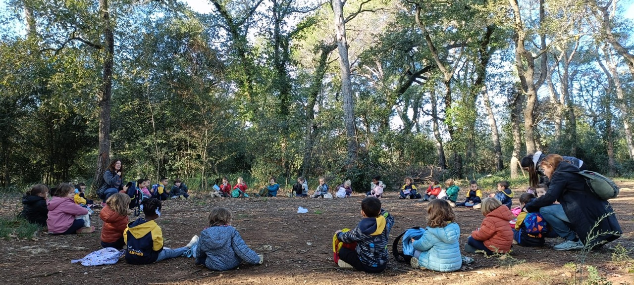 34358703-8489-4c9c-8482-dc48a86a04d2