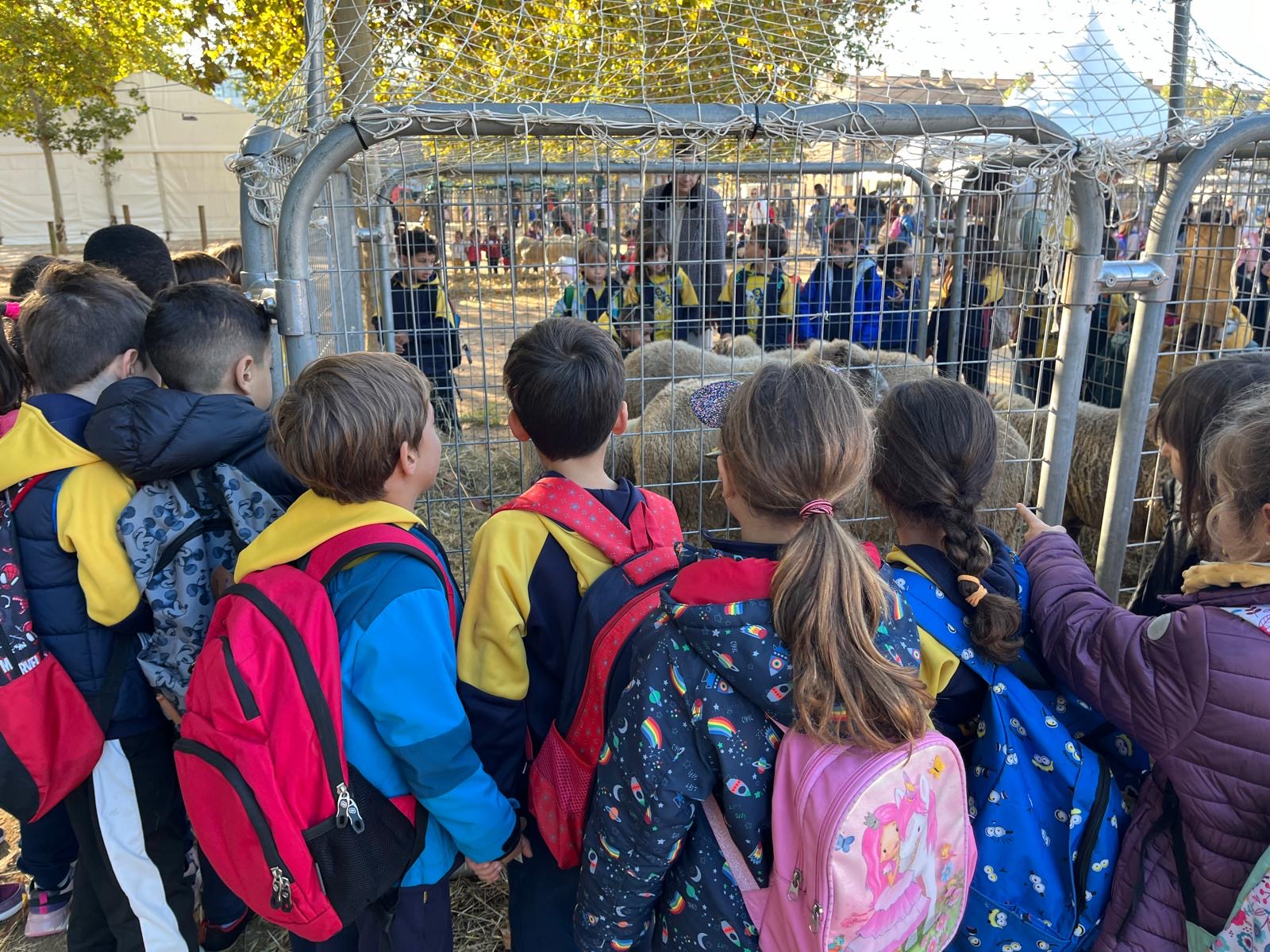 4377093b-6a03-48cd-935a-754f7afa033a