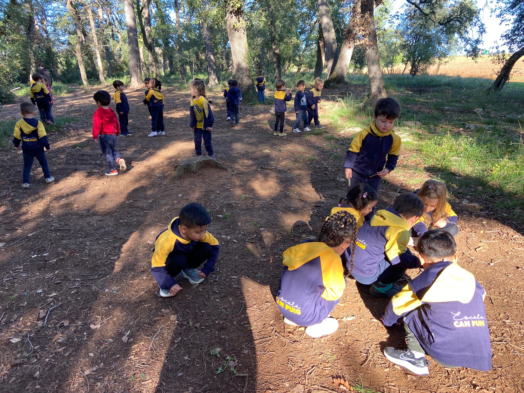 4a0506ec-9d0d-43f8-a851-f14e9dda90c1