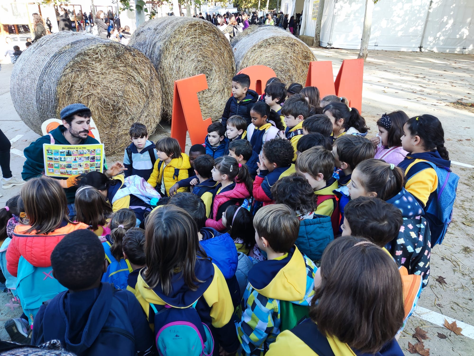 c7fd6d66-9c99-4c3b-8f33-31155c2d0fe0