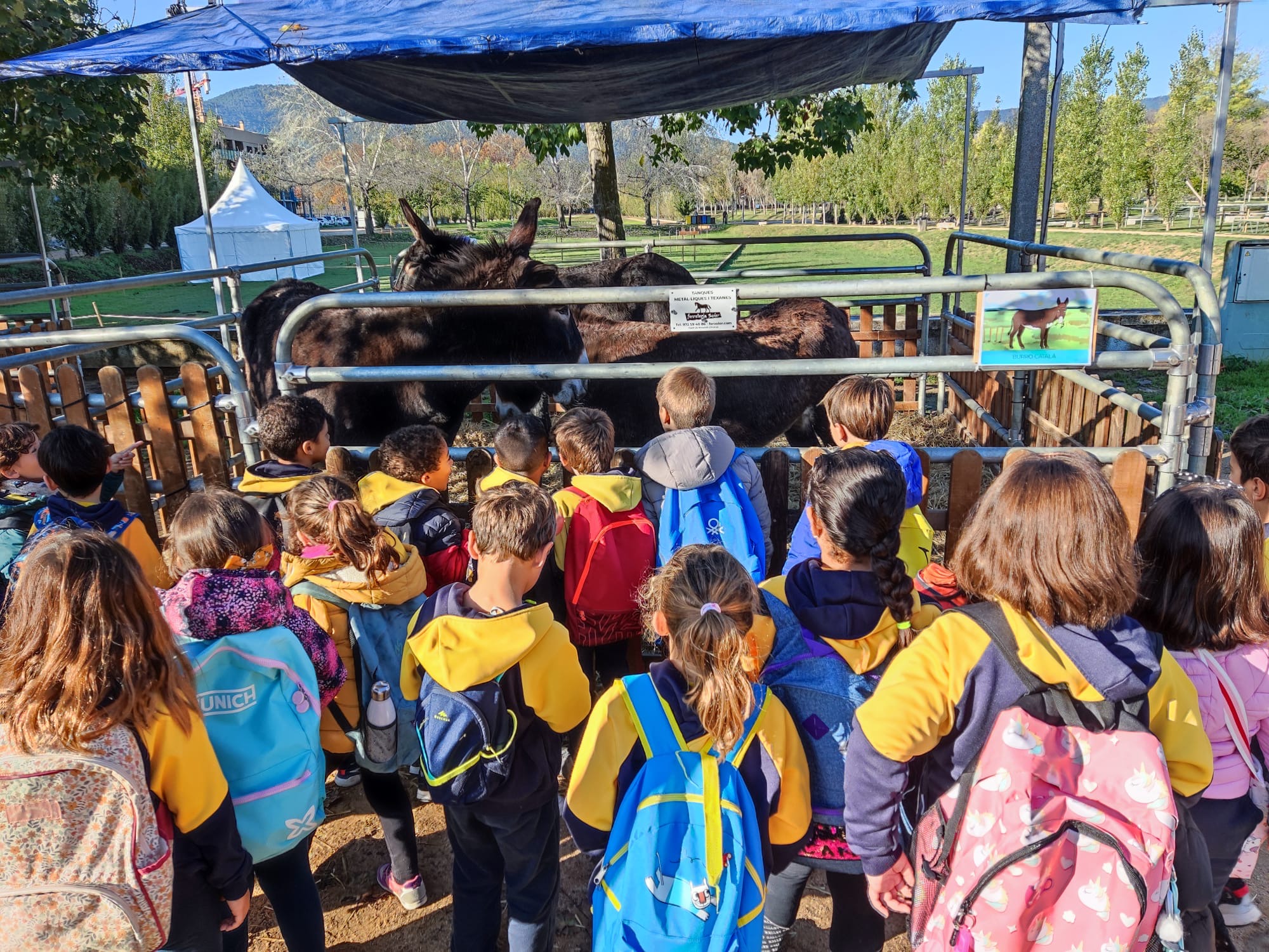 db2a0e51-609d-4899-a14f-d1c0026c3079