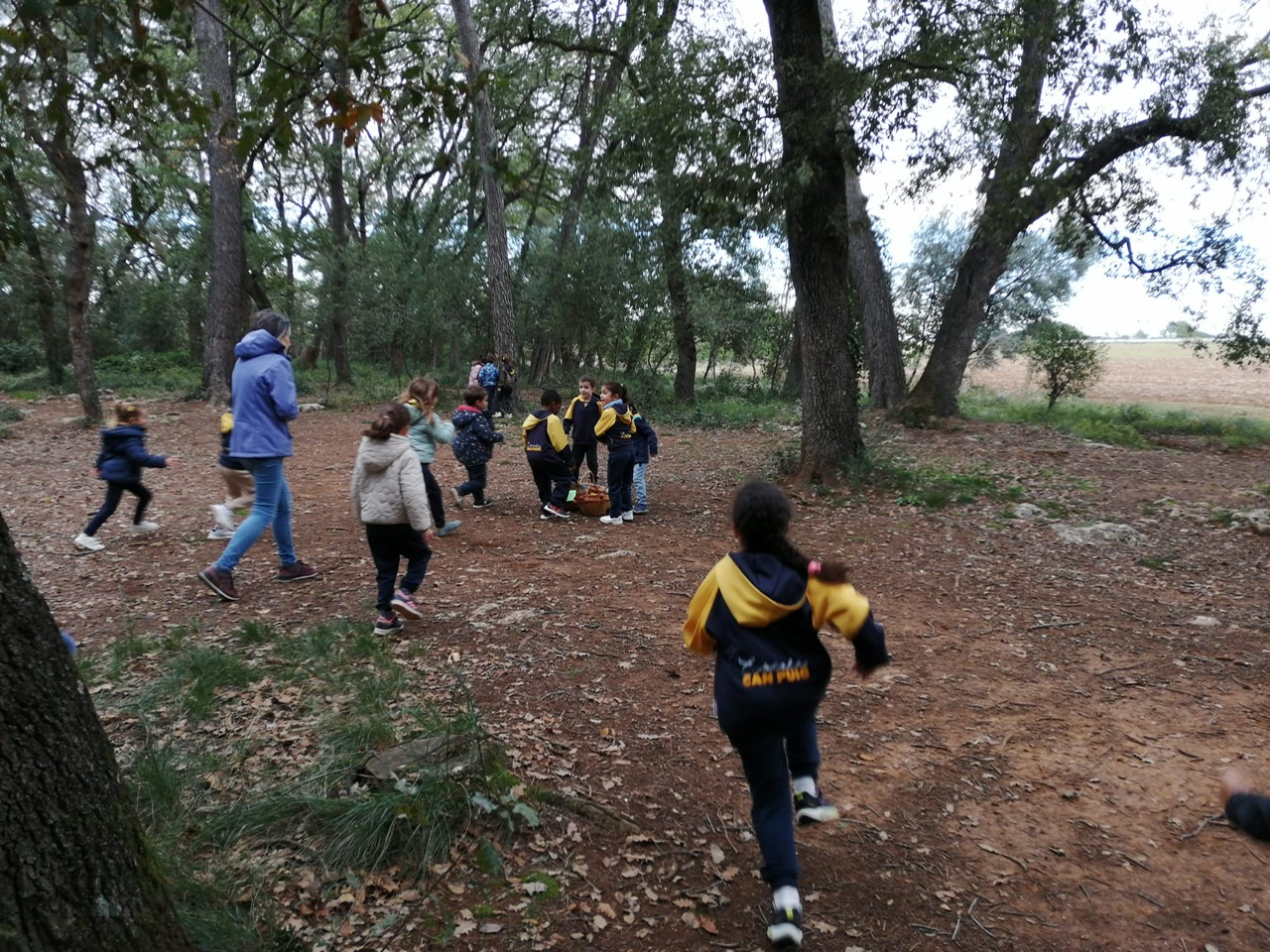 e68f09e4-32c6-4683-a45b-6ee433c2ca7f