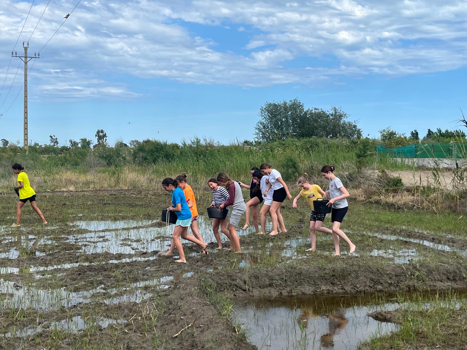 ac79e982-7b64-4504-a084-84f570bf5971