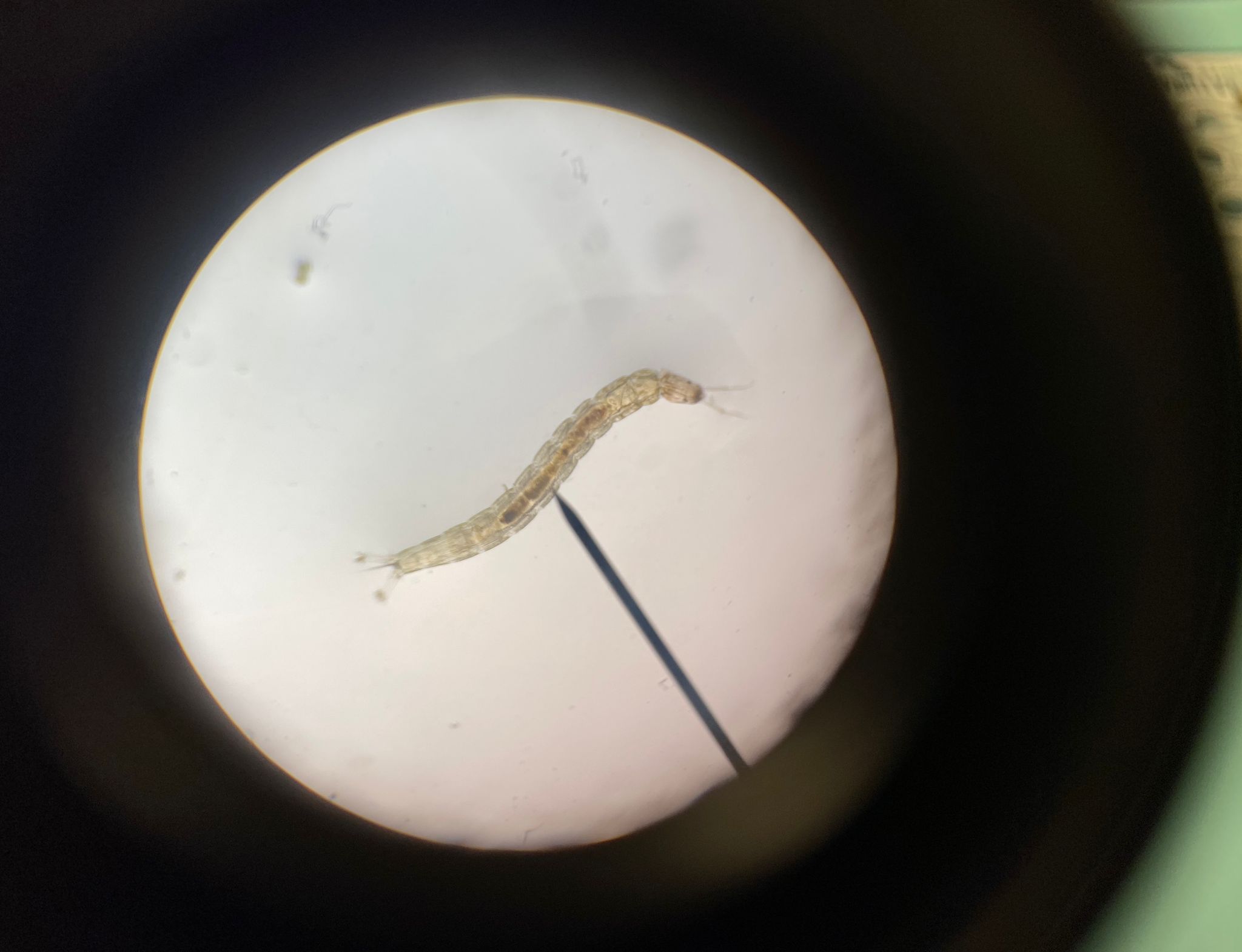 PHOTO-2025-10-26-09-30-59(2)