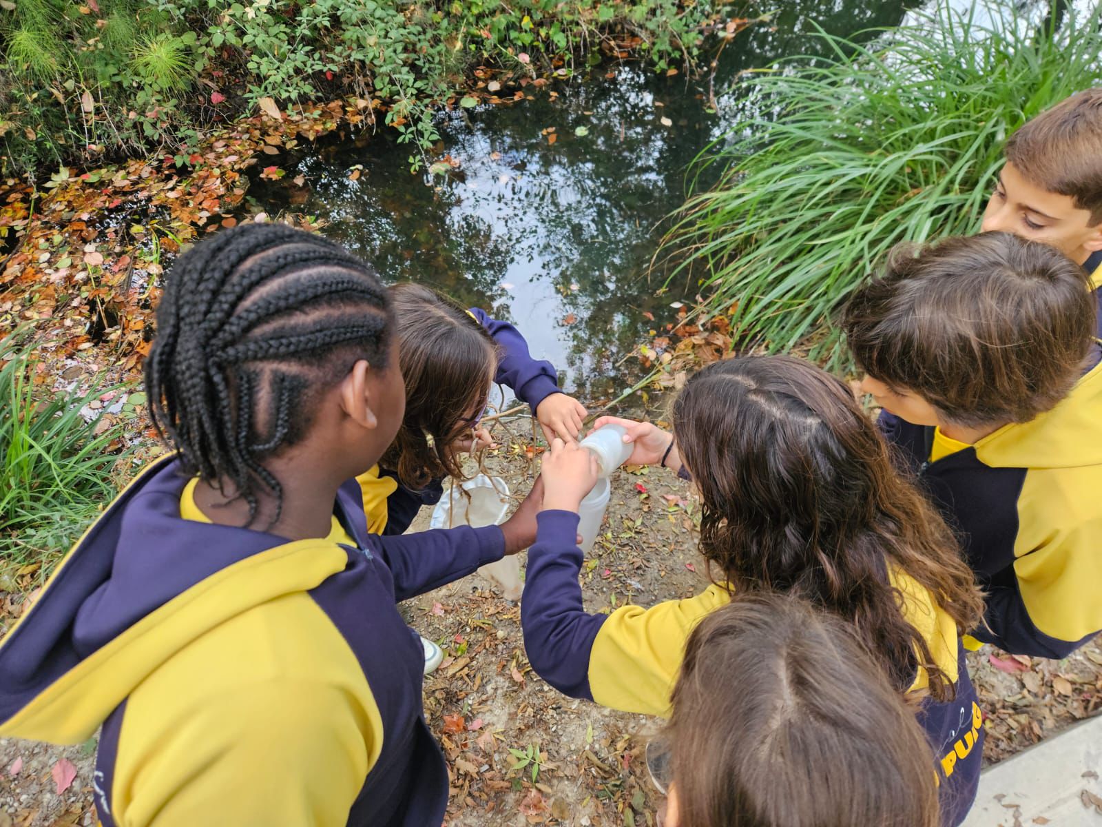 PHOTO-2025-10-26-09-31-00