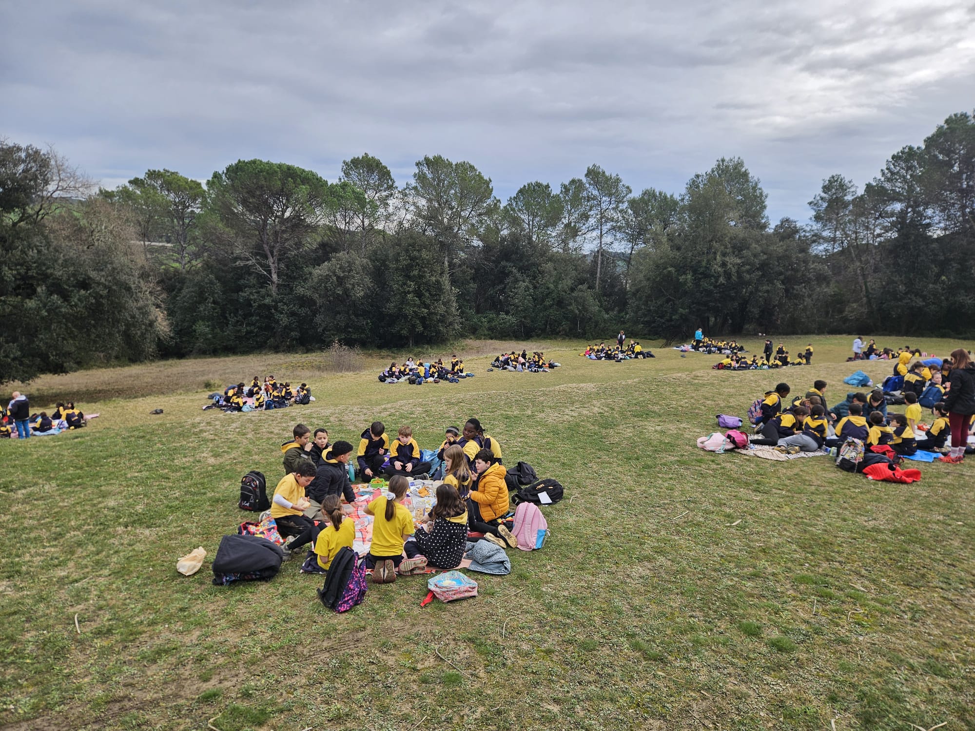 PHOTO-2026-02-12-12-57-18 (1)