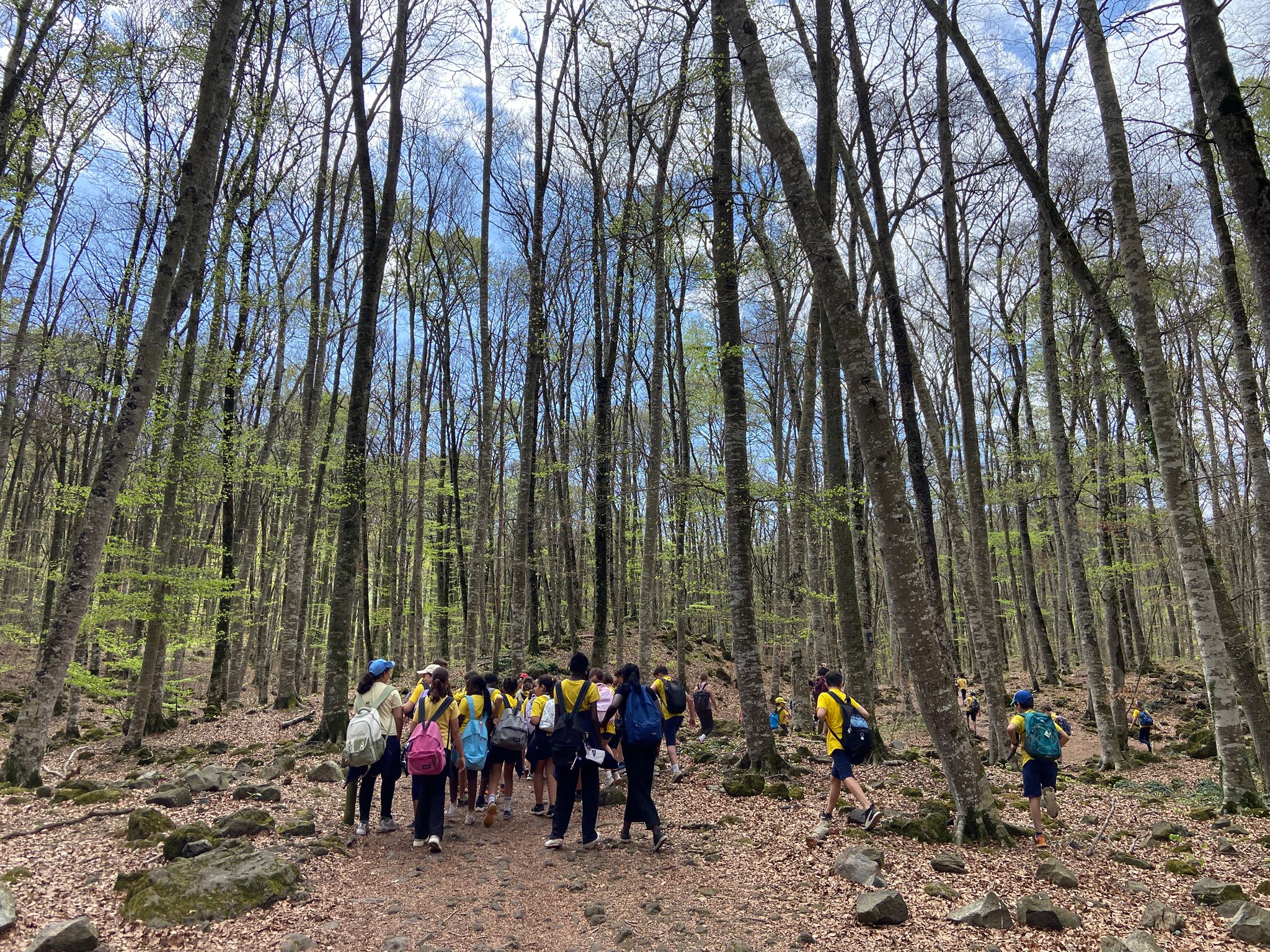 PHOTO-2026-04-13-20-47-20 (3)