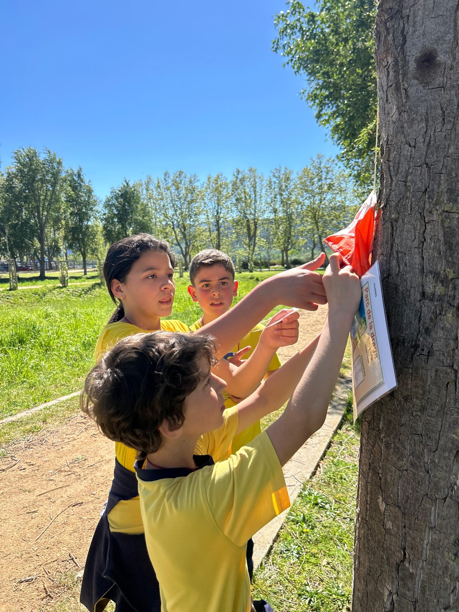 PHOTO-2026-04-21-23-10-11 (1)