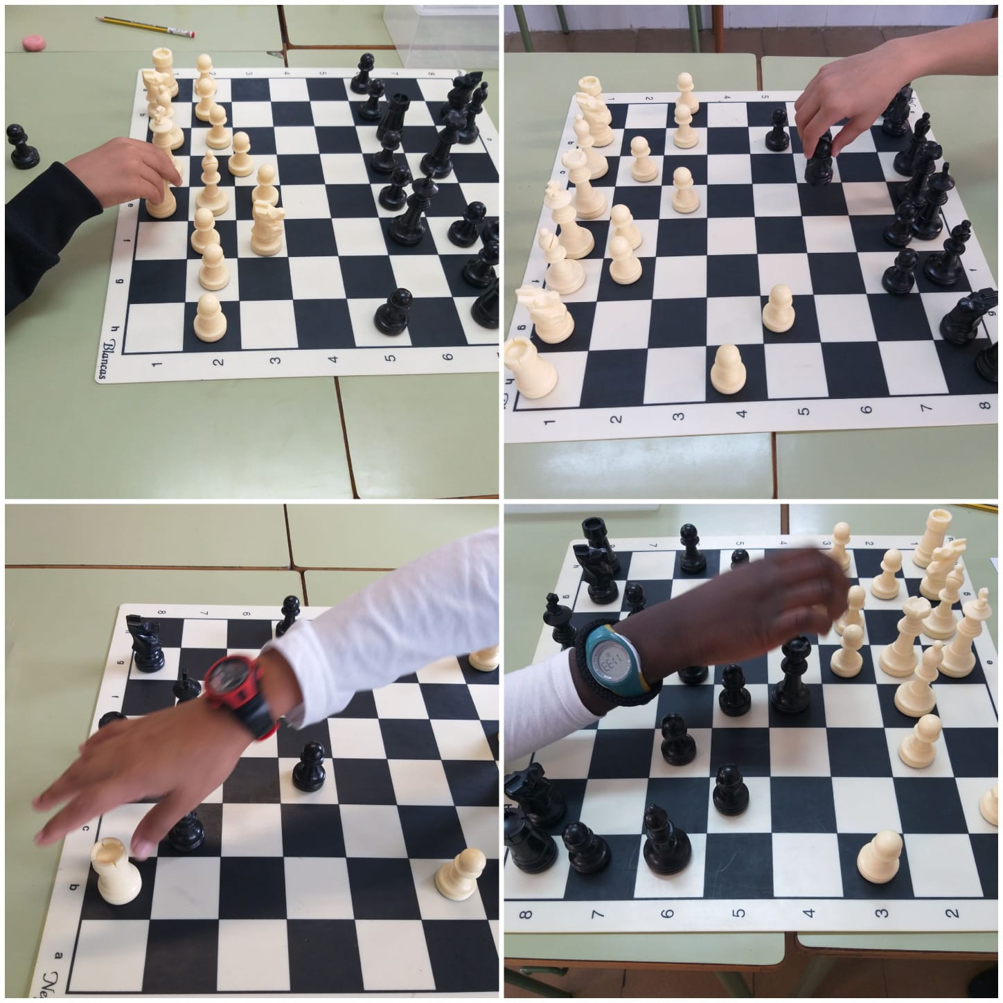 Escacs (5)
