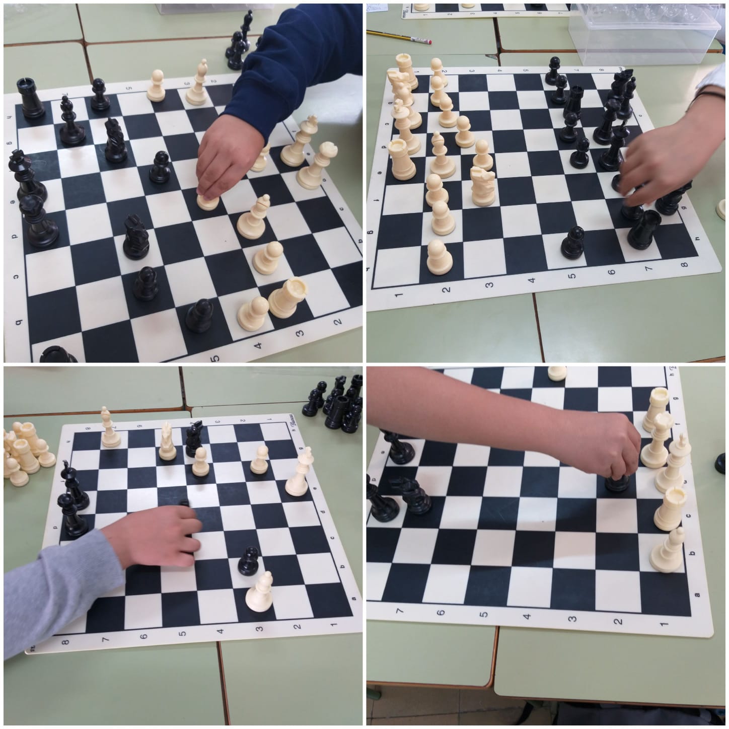 Escacs (6)