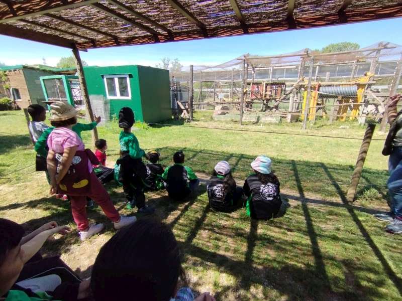 IMG-20230503-WA0018-800