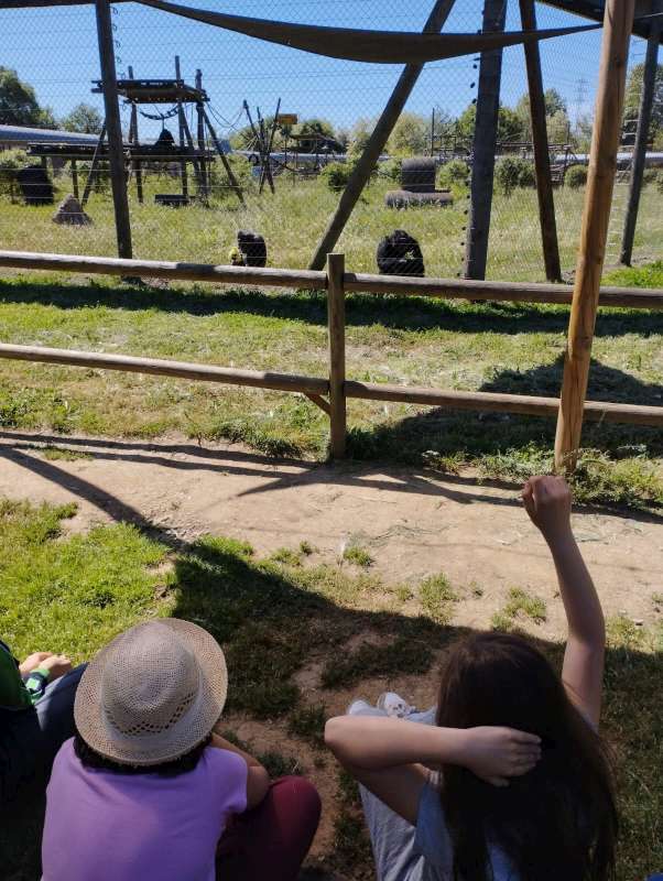 IMG-20230503-WA0020-800