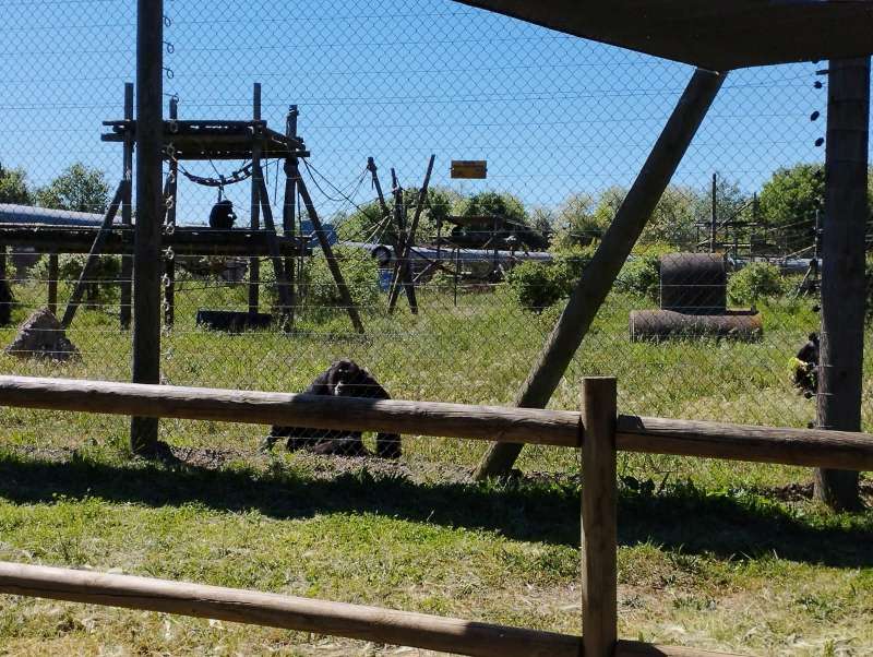 IMG-20230503-WA0021-800