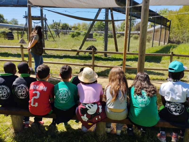 IMG-20230503-WA0022-800