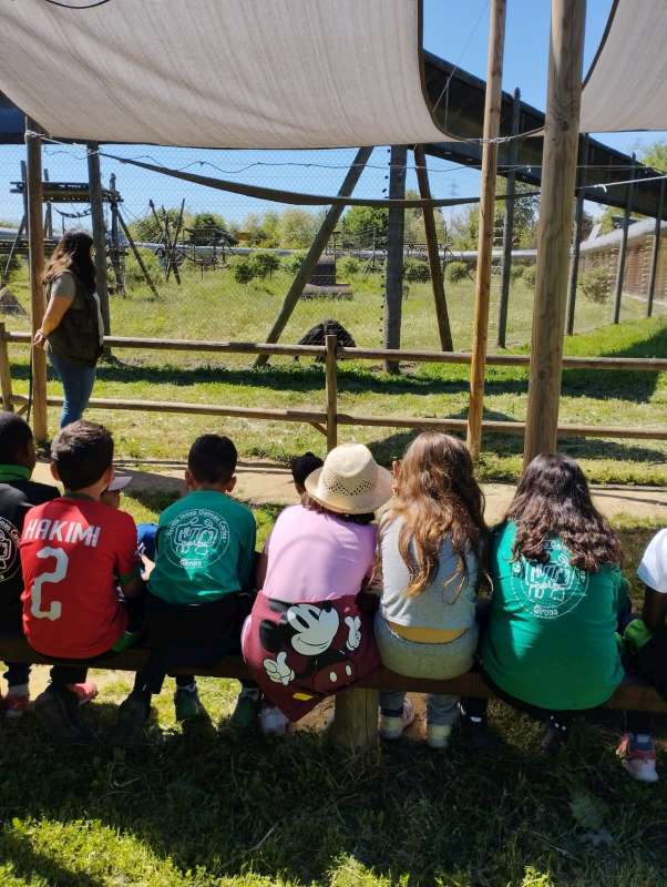 IMG-20230503-WA0034-800