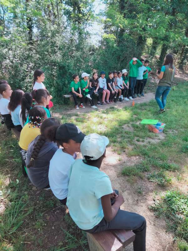 IMG-20230503-WA0038-800