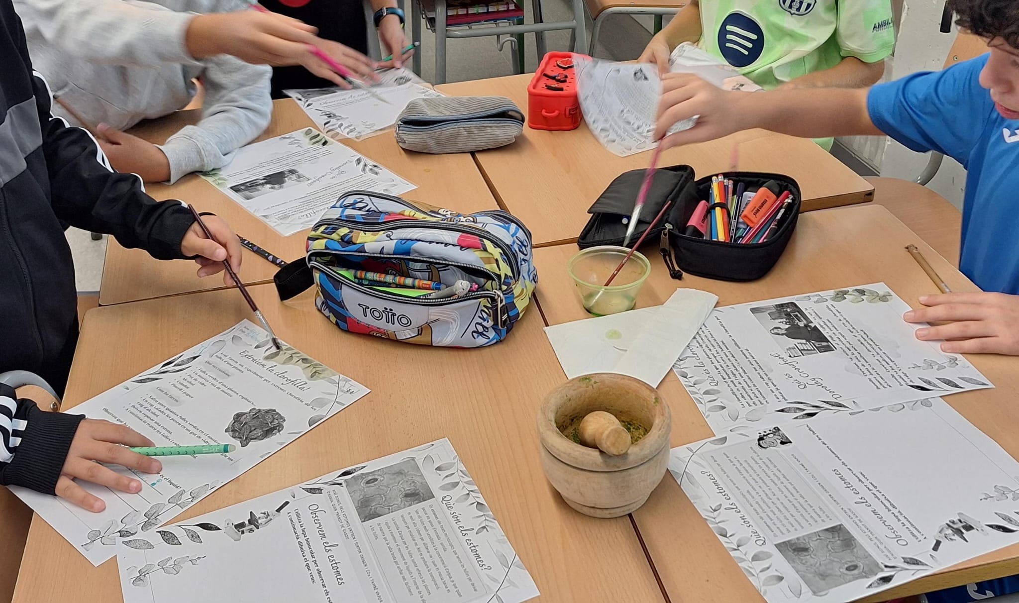 Clorofila-STEAM5 (1)