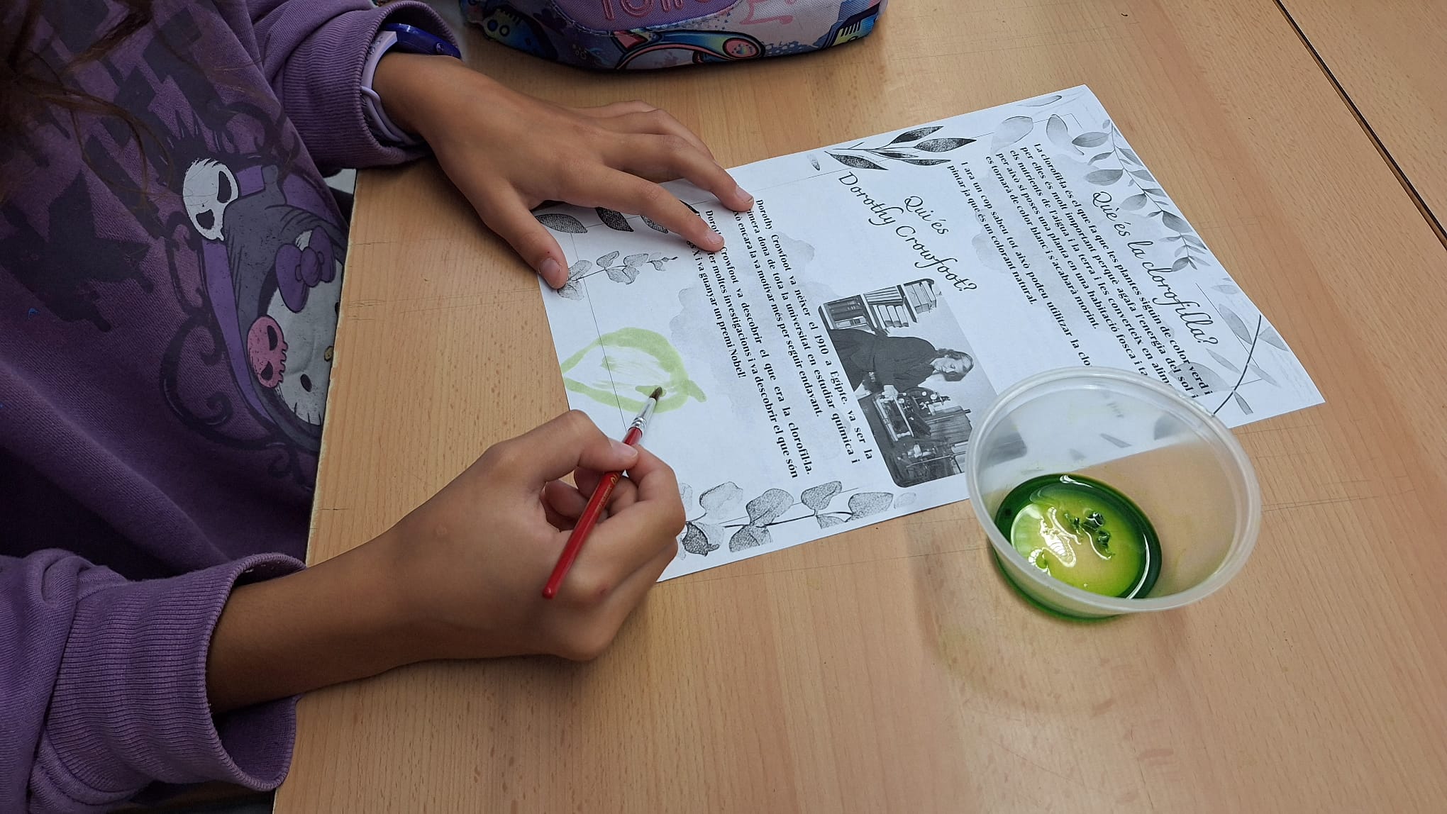 Clorofila-STEAM5 (2)