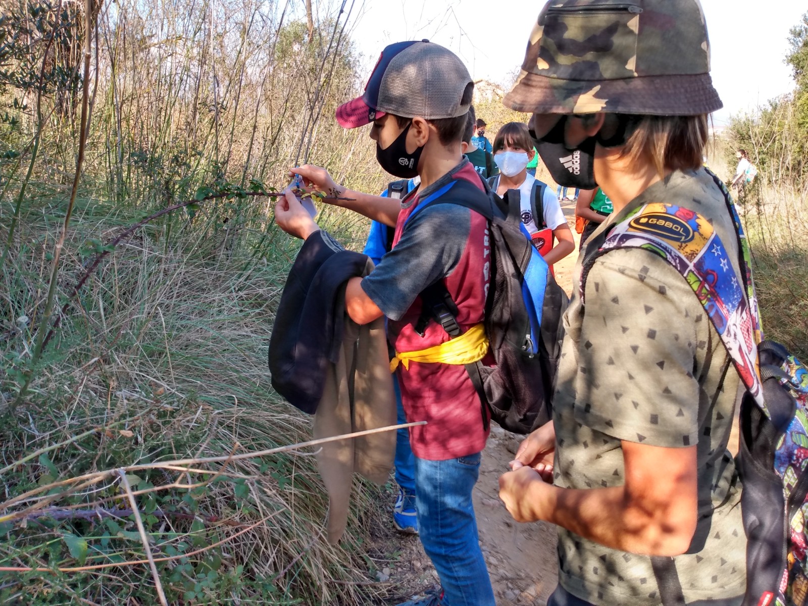 IMG_20201110_114217966_HDR