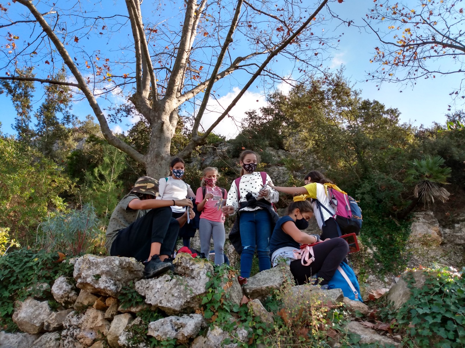 IMG_20201110_121412811_HDR