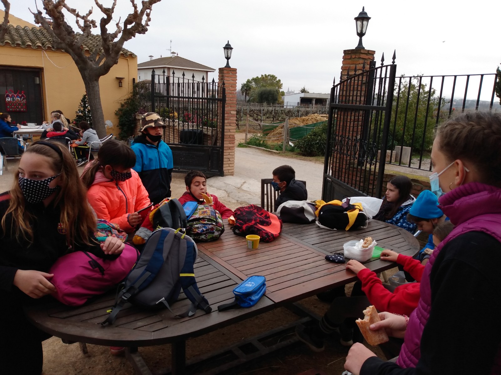 IMG_20201214_102745730