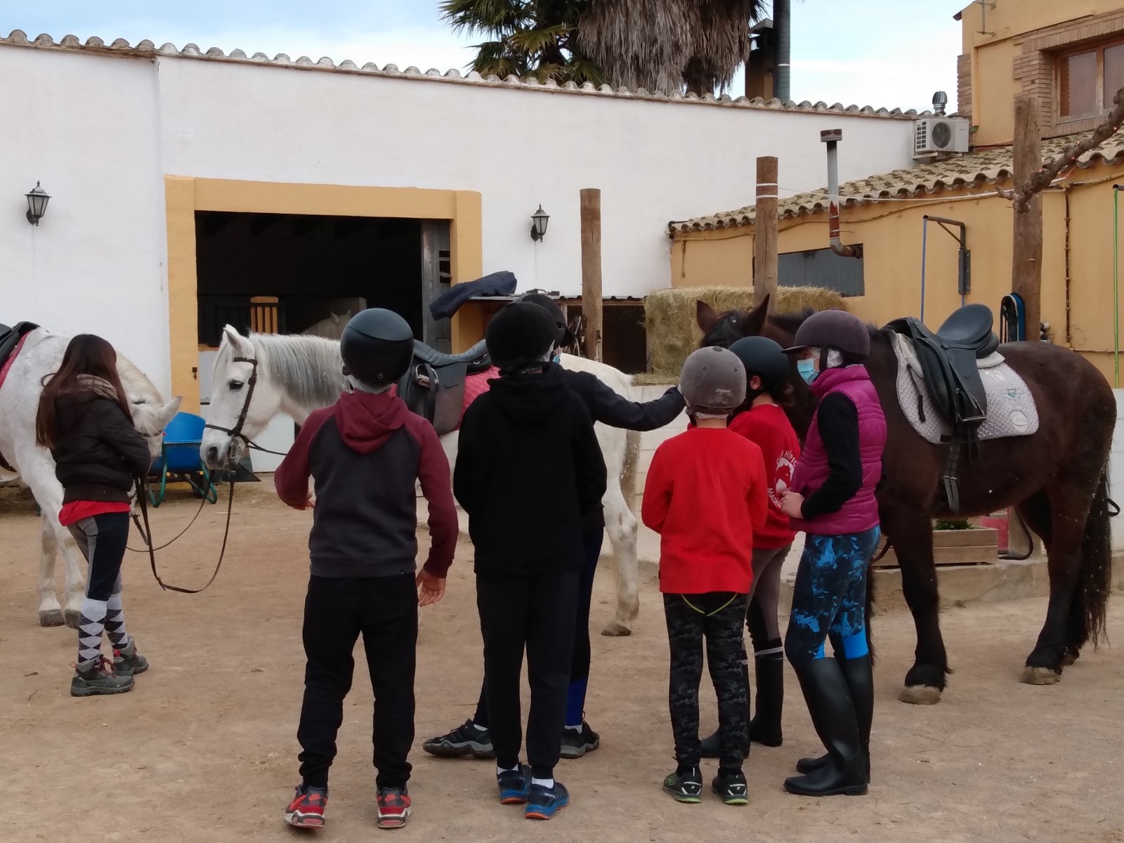 IMG_20201214_105546853