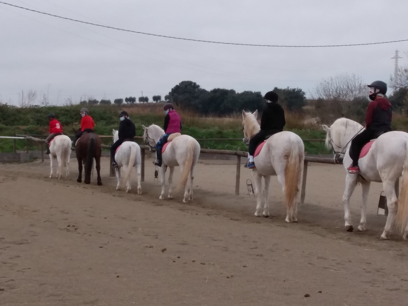 IMG_20201214_112003184