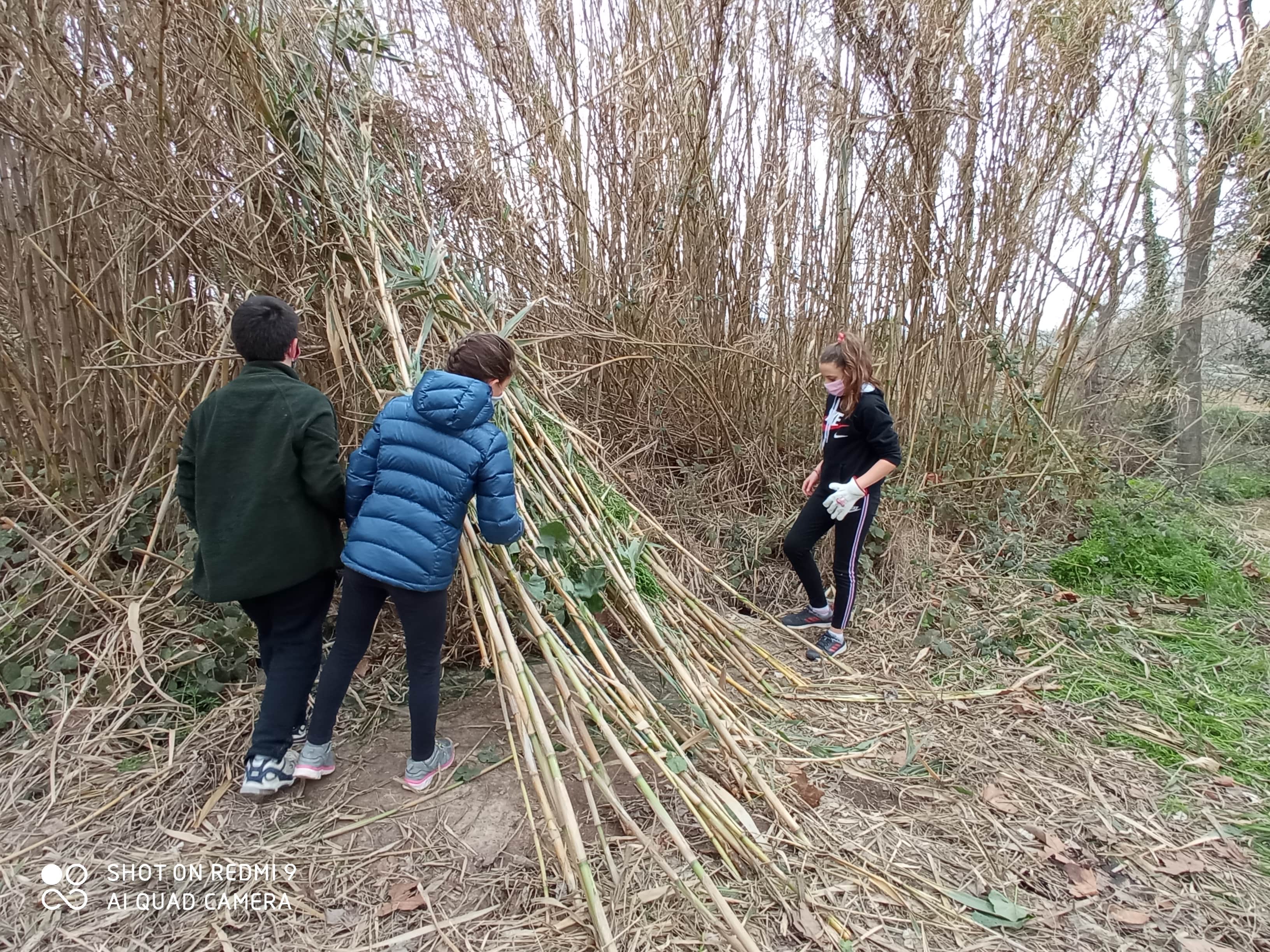 Posant la biga mestra