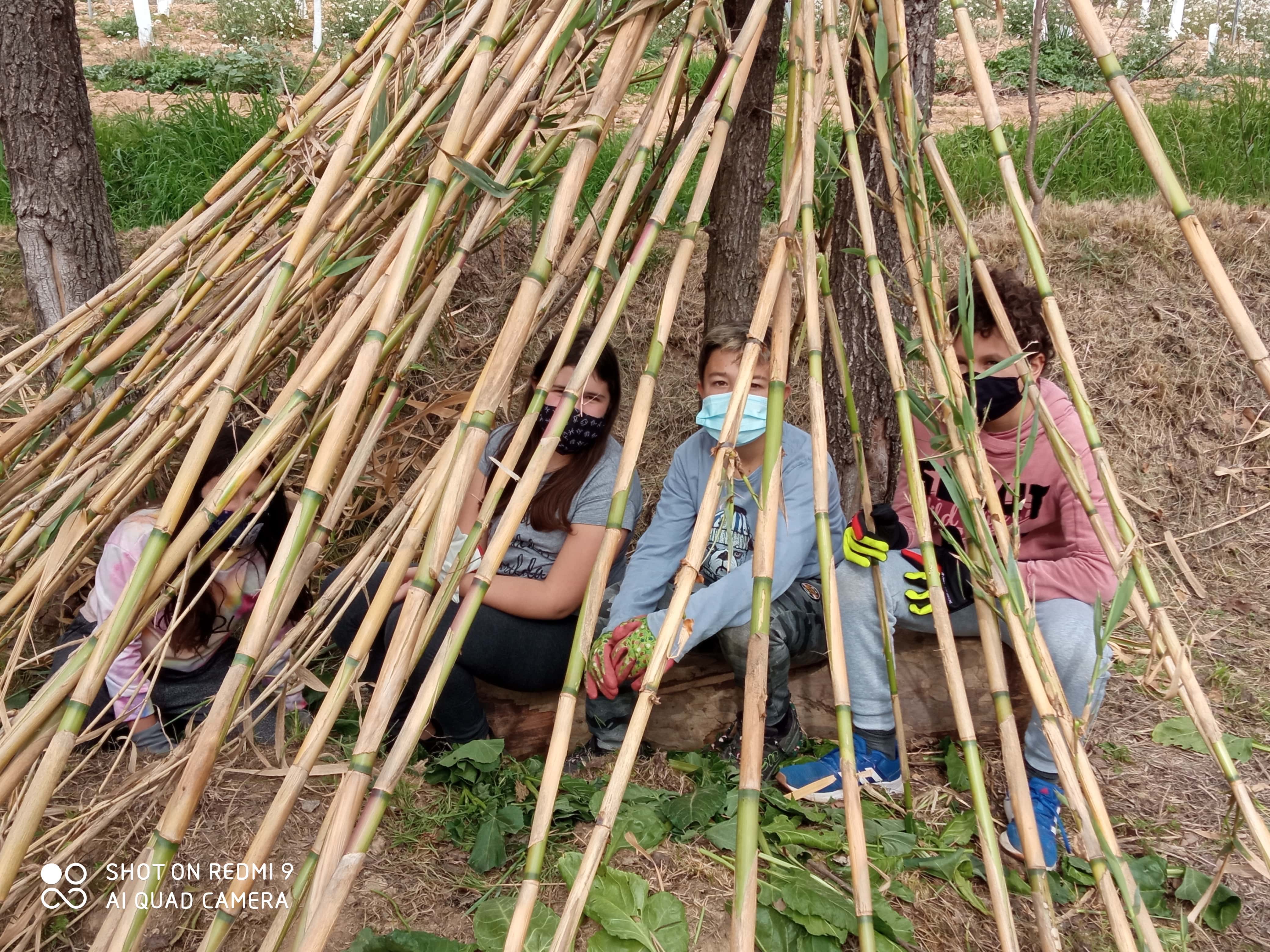 Entrem dins la cabana