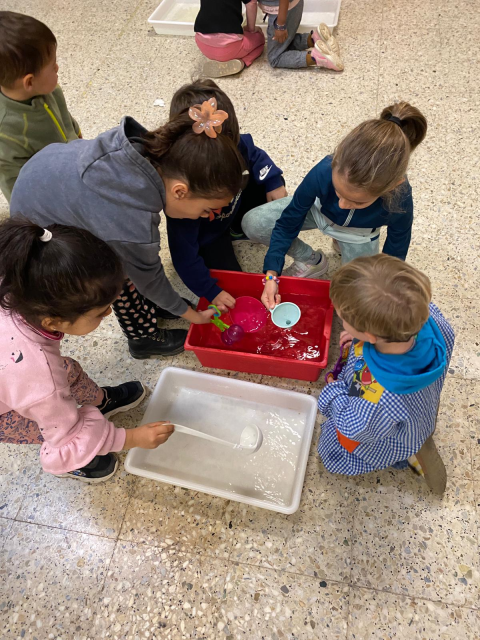 WhatsApp Image 2025-02-06 at 13.23.14