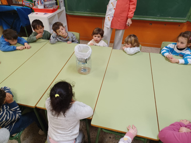 WhatsApp Image 2025-02-12 at 15.14.19 (1)