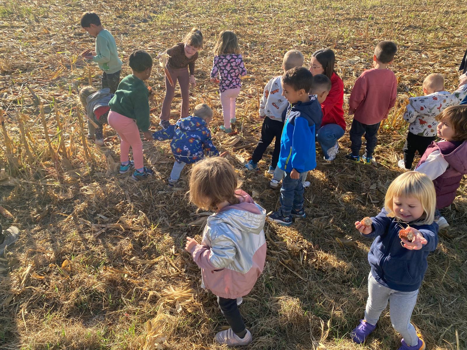 WhatsApp Image 2025-10-06 at 12.22.50 (1)