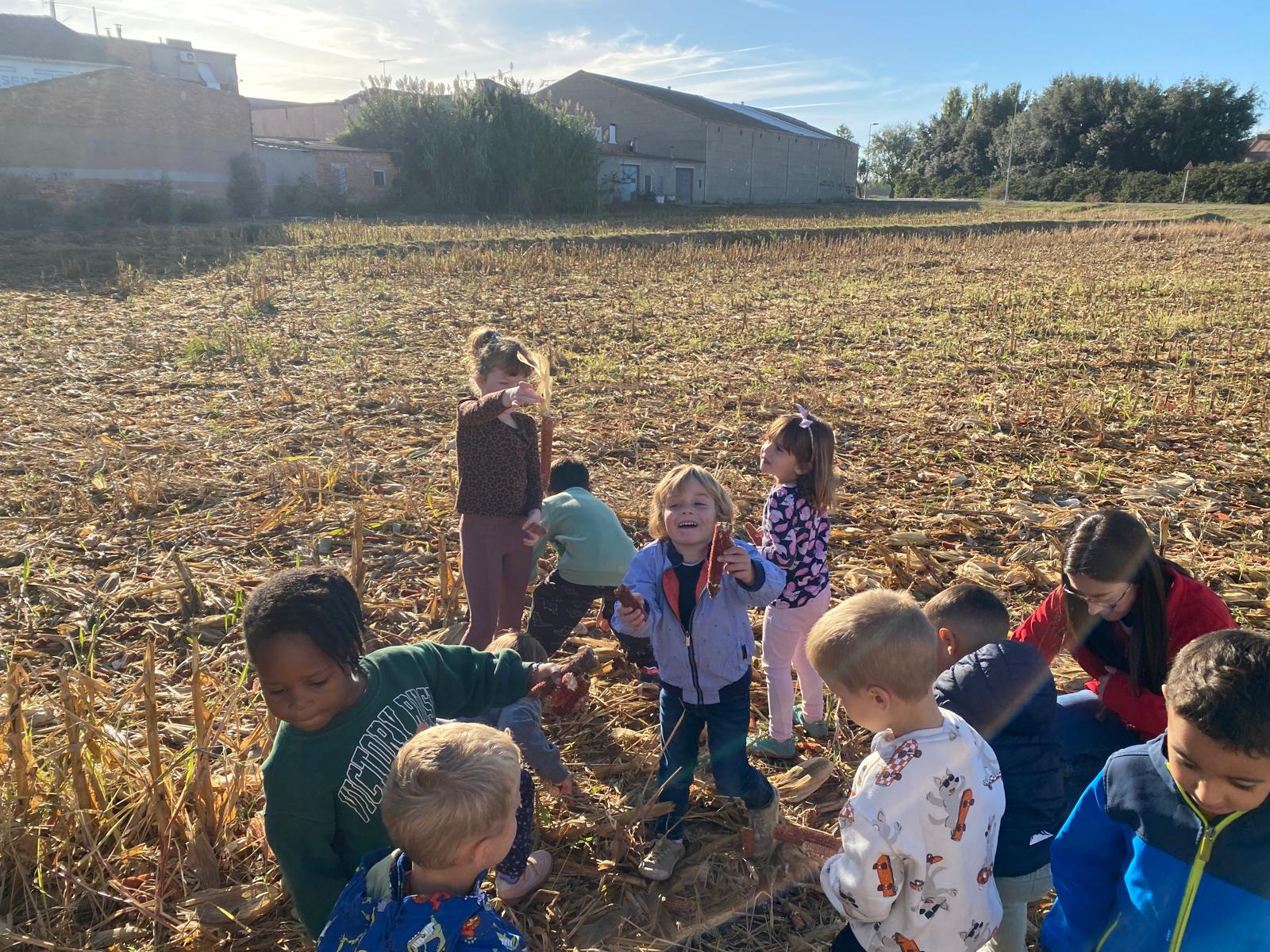 WhatsApp Image 2025-10-06 at 12.22.50