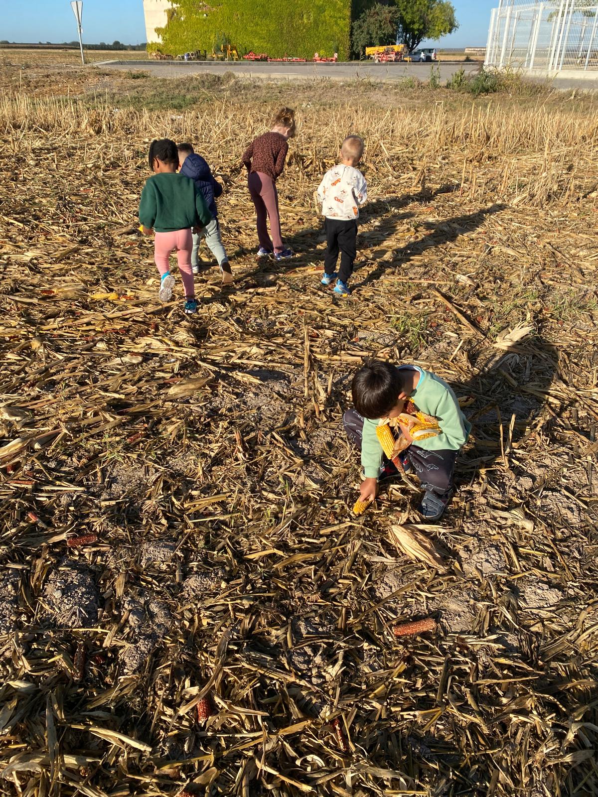 WhatsApp Image 2025-10-06 at 12.22.51 (1)