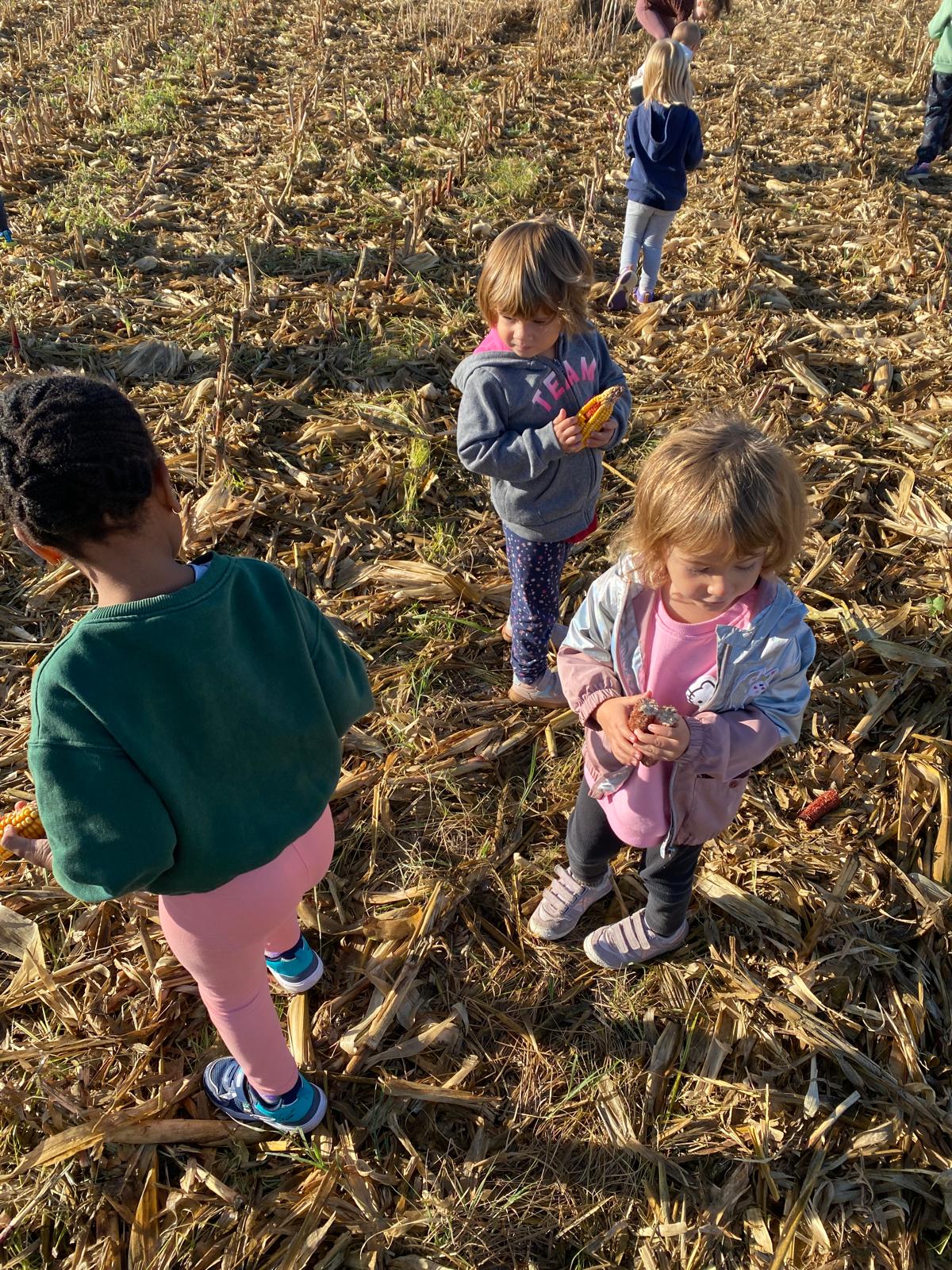 WhatsApp Image 2025-10-06 at 12.22.51